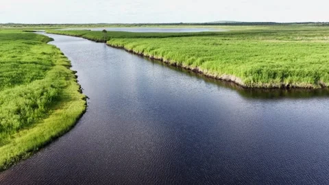Winding river bend cuts through vibrant green Everglades marshland, calm blue Stockbeeldmateriaal 339070404