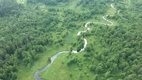 Winding river between beautiful green trees in summer time. Stock Footage