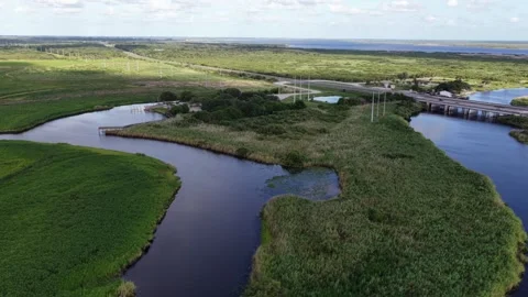 Winding river channels cut through green Everglades marshland, distant wind 動画素材 339074212