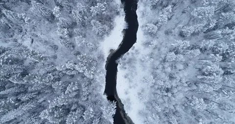Winding river cuts through bare trees seen from drone flying overhead. Stock Footage 147038919