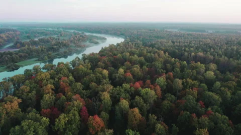 Winding river flowing through the forest jungle on a foggy morning. Stock Footage 164087476