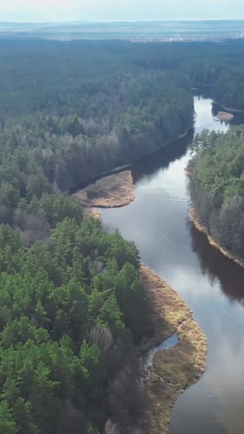 Winding river flowing through green pine forest aerial view Stock-Footage 334169145