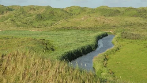 Winding river flowing through green hills and marshland Stock Footage 338082615