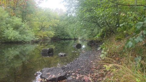 Winding River Flowing Through Green Forest With Rocky Bank Stock Footage 348068706