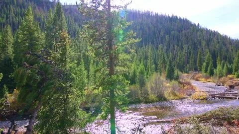 Winding River Flowing Through the Rocky Mountains Vídeo Stock 252071683