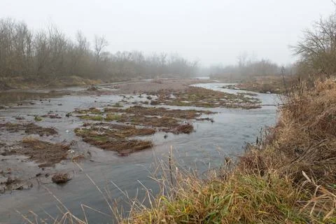 Winding river flows beneath high riverbank during foggy day. 库存照片