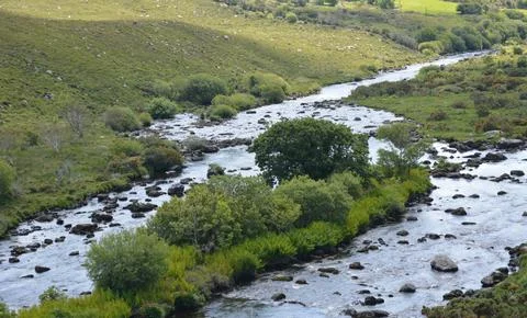 Winding River Flows Gracefully Through Lush Green Landscape Under Bright Sky Stock-Fotos