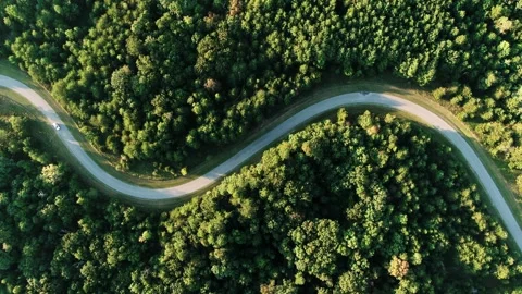 Winding river flows through a dense green forest canopy from above, drone shot 库存影片 348625686