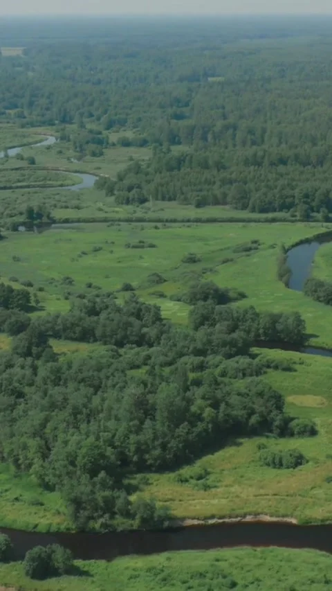 Winding river flows through green meadows and dense forests Stock-Footage 334168878