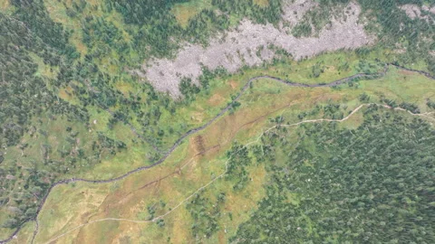 Winding river flows through lush valley and coniferous forest Stock Footage 300973737