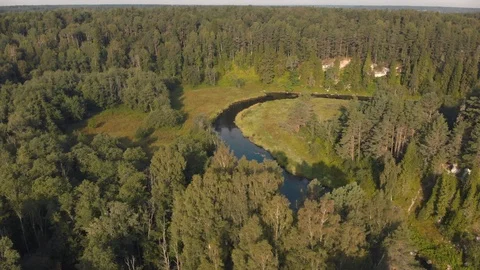 Winding river flows through summer forest. Green trees on banks. Aerial shot Stock Footage 99001884