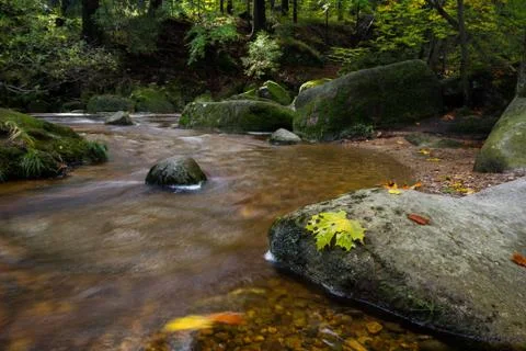 Winding river in the forest. Stock Photos