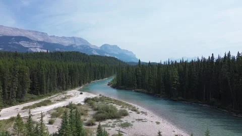 Winding River in a Mountain Forest Valley Stock Footage 318817006