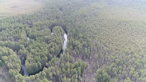 Winding river in siberian forest Stock Footage 281107619