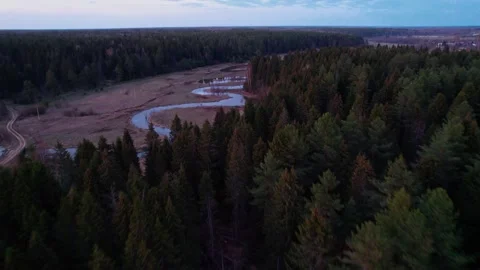 A winding river slowly appears from behind the forest Stock Footage 196505006