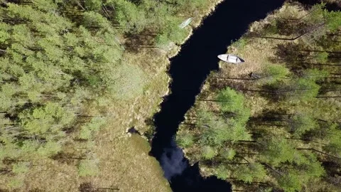 Winding river streaming through bog with pines Stock Footage 152983385