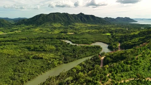 Winding River Through Coron Forest Valley and Mountains Stock Footage 335523768