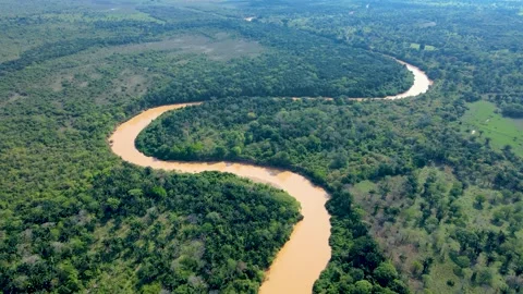 Winding river through green landscape in Casanare Stock Footage 330516889