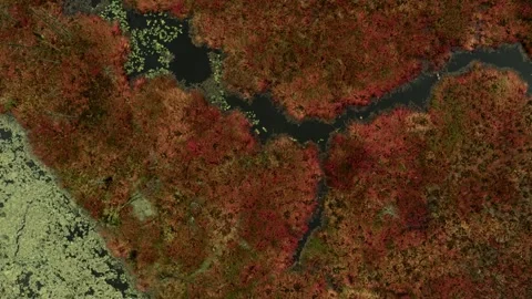 Winding River through marsh during fall/autumn Stock Footage 317910364