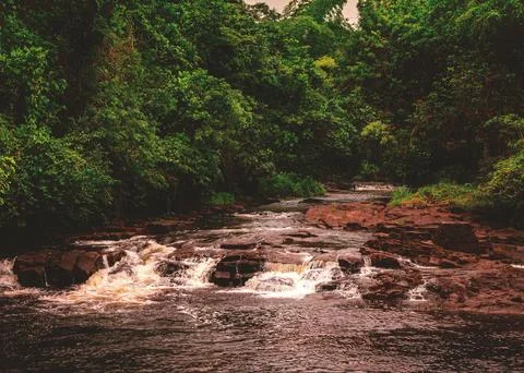 Winding River in the Tropical Forest Stock Photos