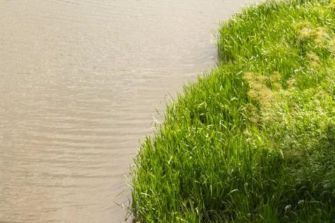 Winding river view from the top Landscape in the river forest Stock Photos