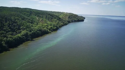 Winding Riverbank Surrounded by Dense Forests Under the Bright Sun. Video stock 315788007