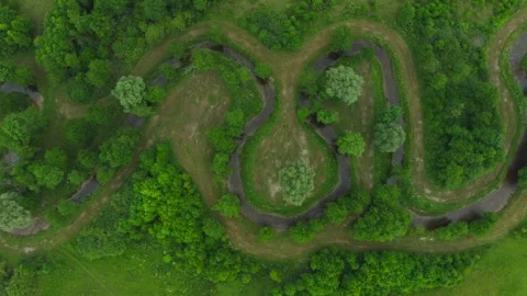 A winding riverbed runs through meadows between bushes and trees. Stock Footage 295068180