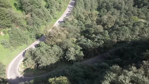 Winding Road Beneath Dense Forest Canopy Seen from Above Stock Footage 348666393