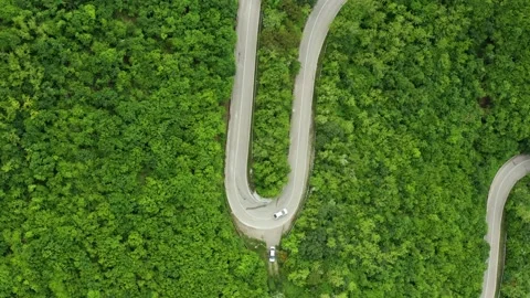 Winding road between the trees in Kakheti, Georgia. Stock Footage 219475000