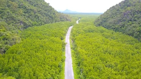 A winding road cuts through a dense green forest in a mountain valley Stock Footage 312392409