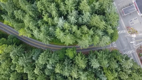 Winding Road Video stock 92497896