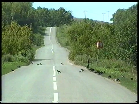 Winding Road Stock Footage 342691391