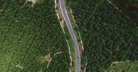 Winding road in the forest and traffic cars Vídeo Stock 80164068
