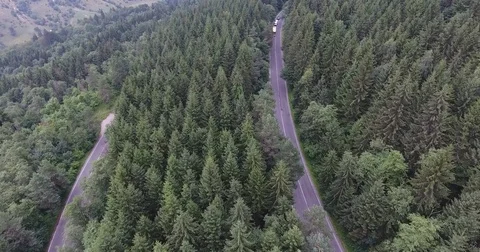 Winding road in the forest Video stock 77999801