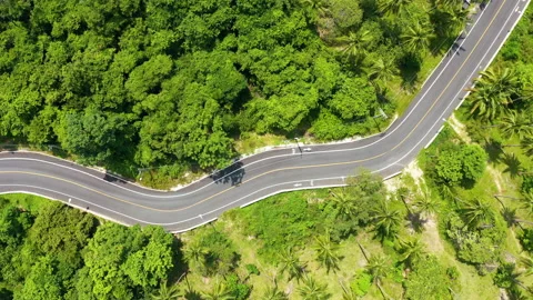Winding road in forest Stock Footage 141572636