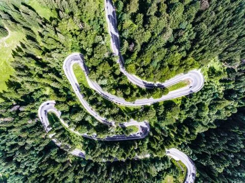 Winding road in the forest Stock Photos