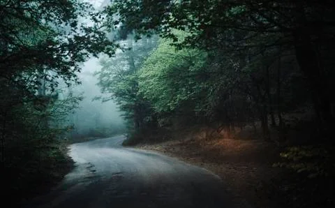 Winding road in forest Stock Photos