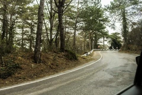 Winding road in the forest. Stock Photos