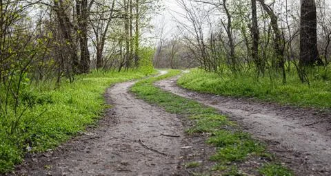 Winding road in the forest Stock Photos