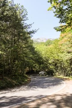 A winding road in the forest. Stock Photos