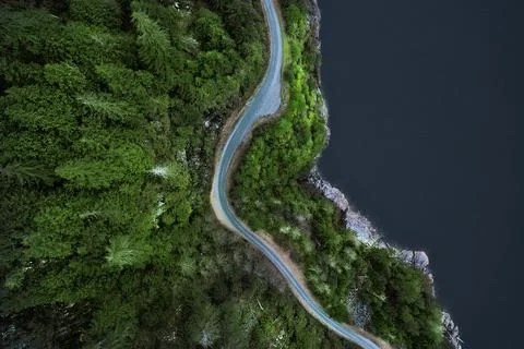 Winding road in the forest 스톡 사진