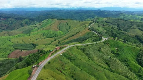 Winding road in the forest The top view of the beautiful Aerial view  Stock Footage 141522397