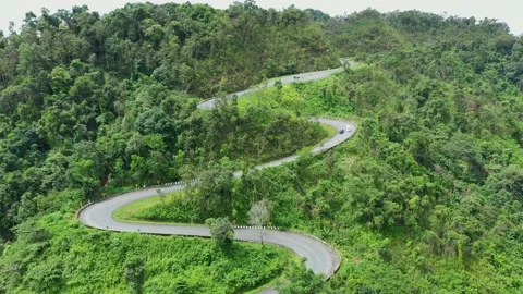 Winding road in the forest The top view of the beautiful Aerial view  Stock Footage 141927358