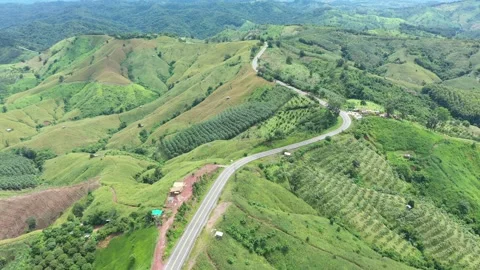 Winding road in the forest The top view of the beautiful Aerial view  Stock Footage 141927398