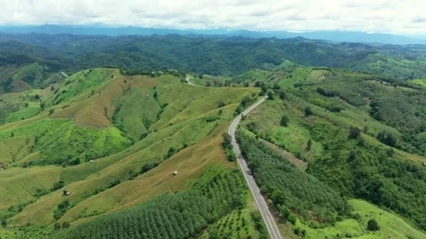 Winding road in the forest The top view of the beautiful Aerial view of asphalt  Stock Footage 142300464