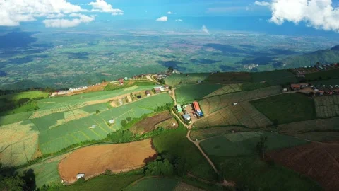 Winding road in the forest The top view of the beautiful Aerial view of asphalt  Video stock 149497306