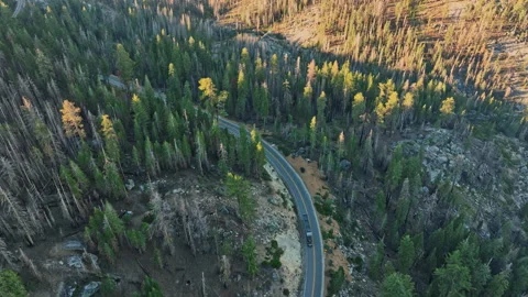 A winding road in the middle of a forest Stock Footage 252314215