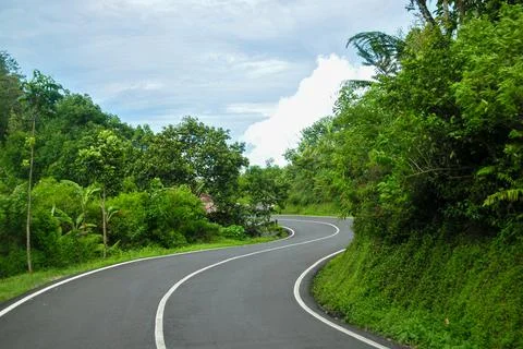 Winding road in the middle of the forest Stock-Fotos