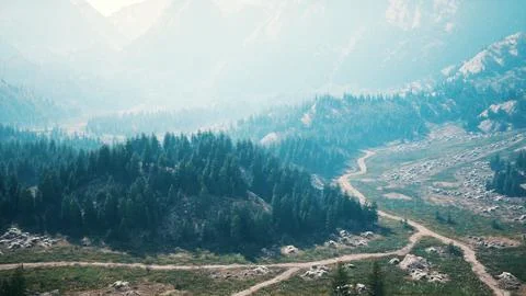 Winding road in the mountains with pine forest Ilustração Stock