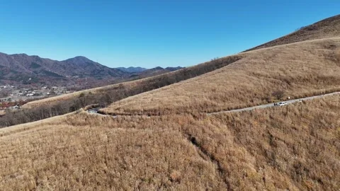 Winding Road | Pampas Grass | Fall - 4K Aerial Video Stock Footage 329054682